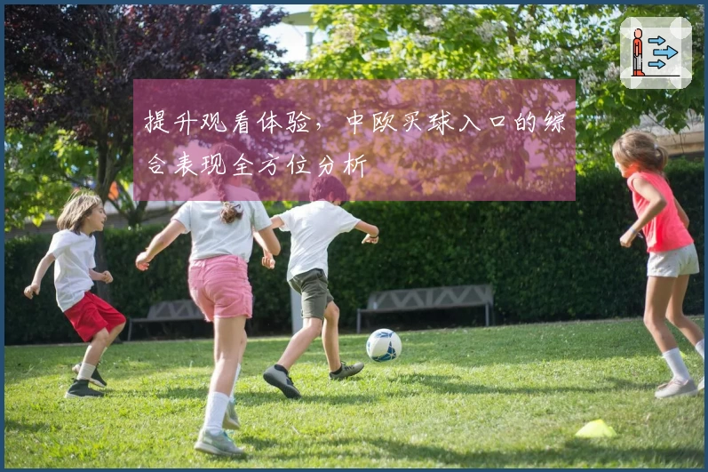 提升观看体验，中欧买球入口的综合表现全方位分析