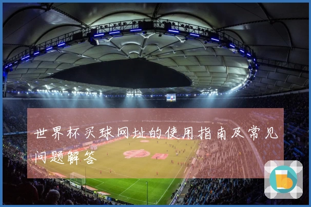 世界杯买球网址的使用指南及常见问题解答